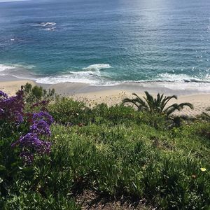 Meet your Posher, Dolly